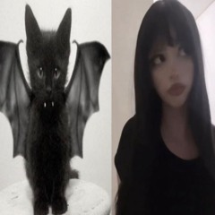 real miau muzik (prod. TwoTor)