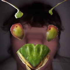 The Praying Mantis