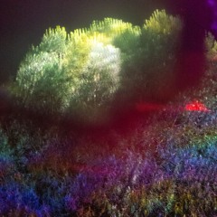 Selv Ikei live at Waking Life 2025