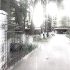 quest