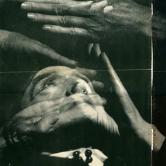 A journey to flamenco music with Don the Tiger