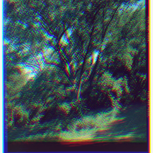 poplar tree (men i trust sample)