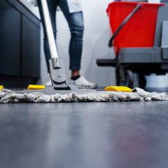 The Role of Professional Cleaning in Reducing Workplace Allergies