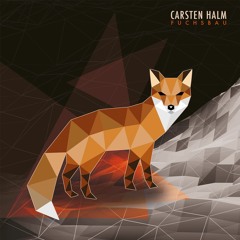 Carsten Halm - Fuchsbau || Yeadon Remix  (Traum V247)