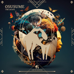 The Grape - Osusume [Cafe De Anatolia]
