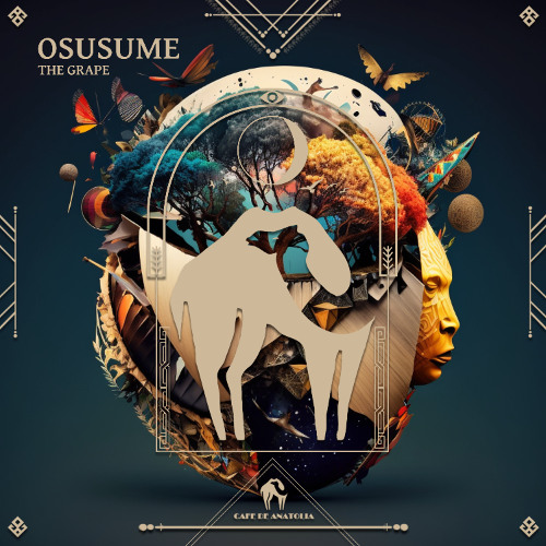 The Grape - Osusume [Cafe De Anatolia]