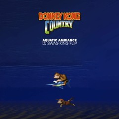 Donkey Kong Country - Aquatic Ambience (DJ SWAG KING CHILL FLIP)