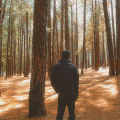 peers (unmastered)
