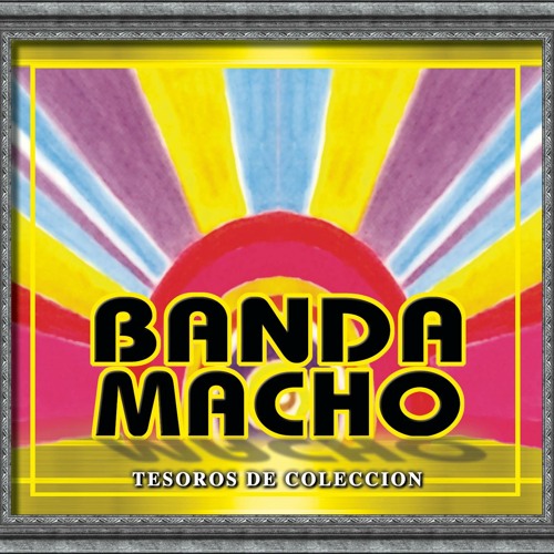 Stream Tema De S W A T Theme From S W A T By Banda Macho Listen Online For Free On Soundcloud