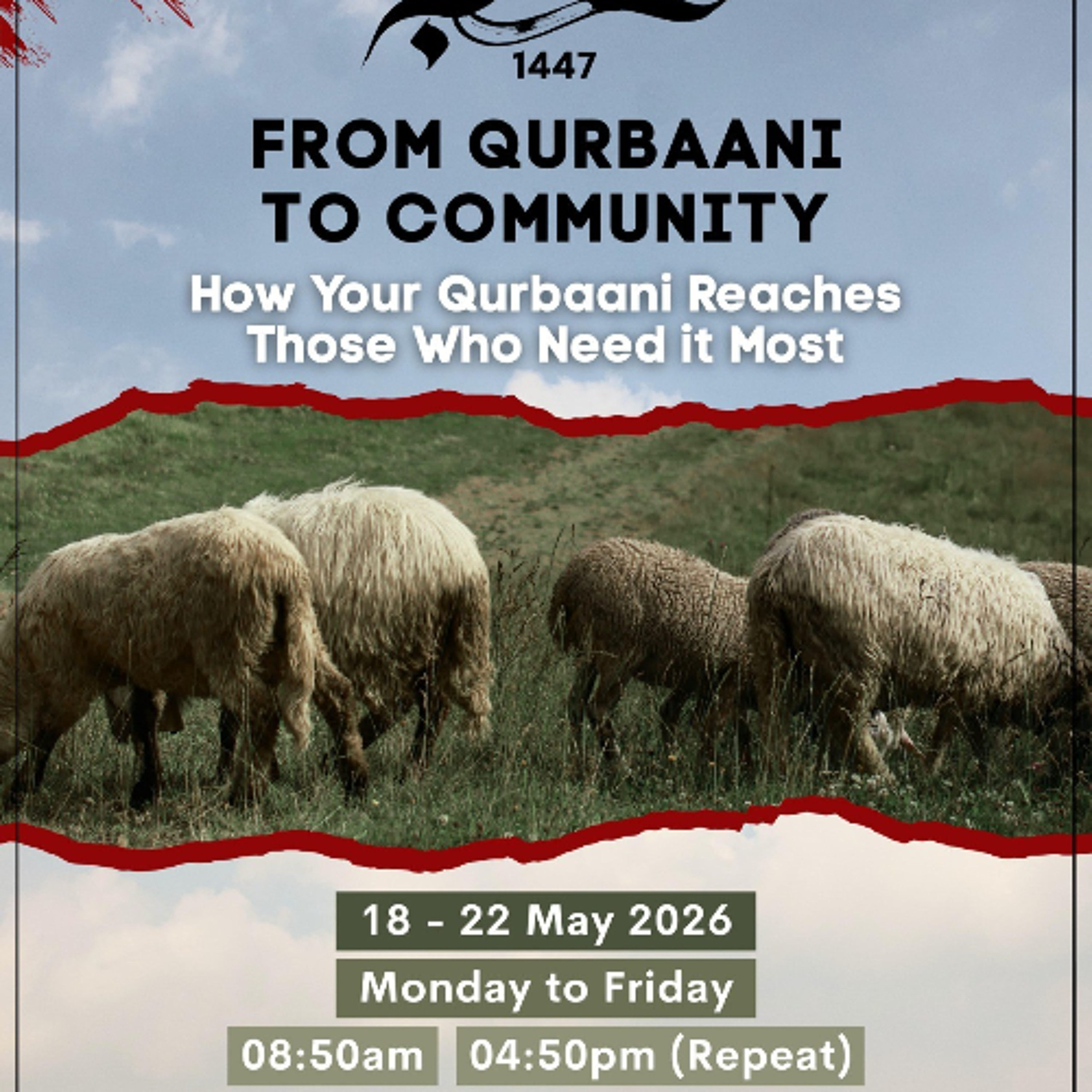 From Qurbaani to Community  Episode 1: The Amanah Begins