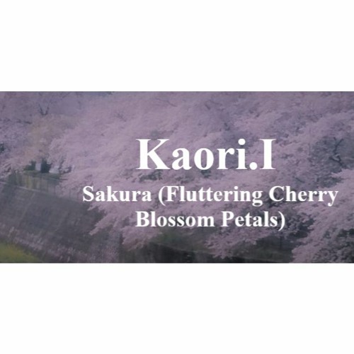 Sakura (Fluttering Cherry Blossom Petals)