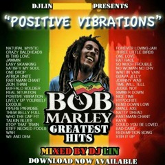 Positive Vibrations - Mixed by DJ Lin.mp3