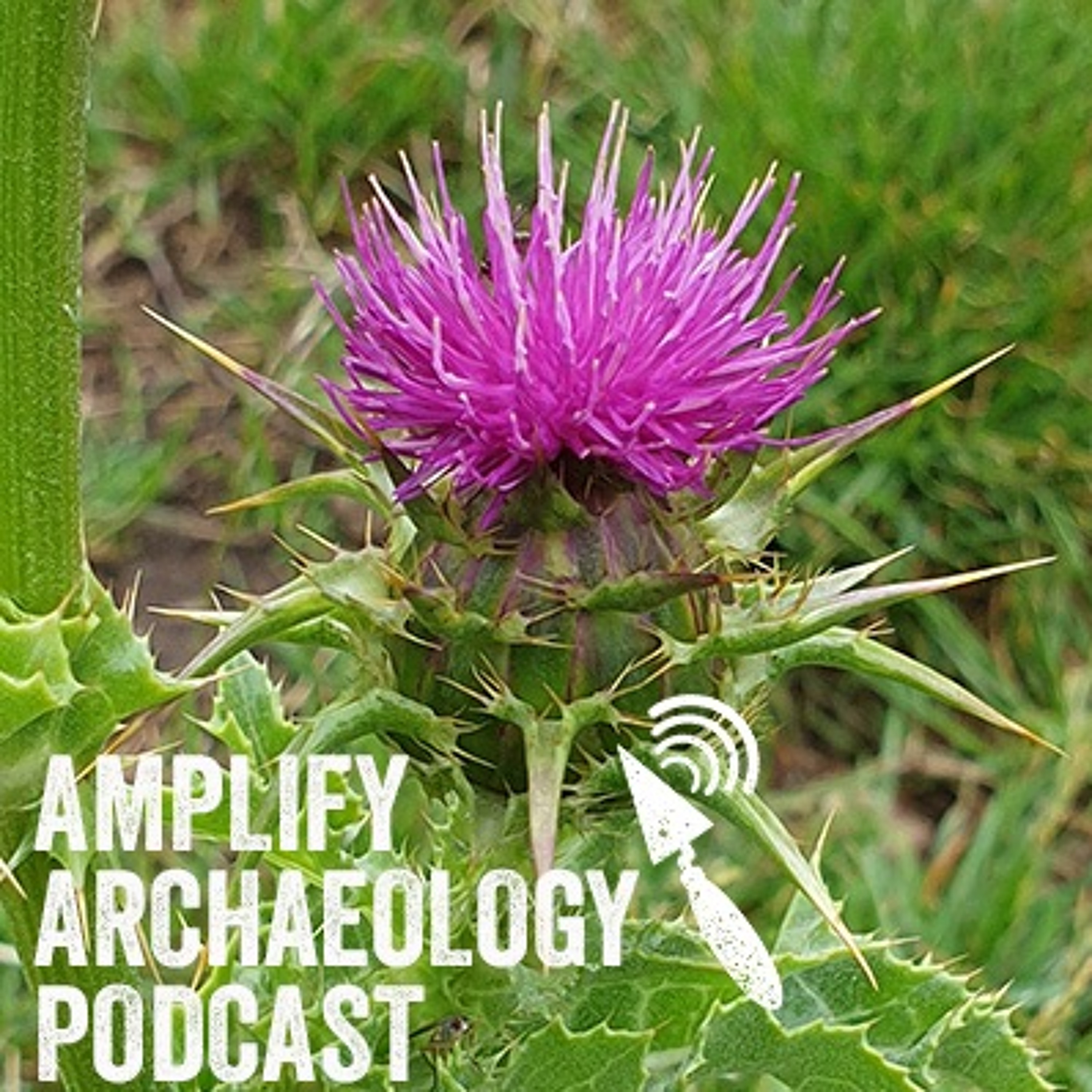 Relict Plants Green Heritage and Medieval Women Amplify Archaeology Episode 27 episode artwork