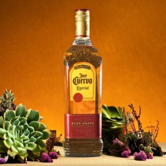Cuervo produced by Eddie Hogges