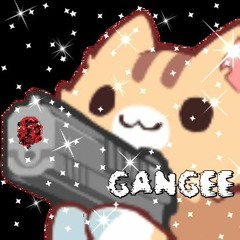 HARDY BOYS GUITAR EDIT