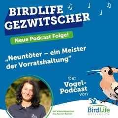 74. Neuntöter – ein Meister der Vorratshaltung