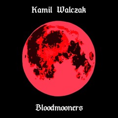 Kamil Walczak - BLOODMOONERS