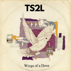 Wings of a dove (in the style of Madness)