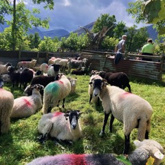 Milli fountain freestyle - from the 42 date (prod me)