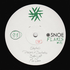 Premiere: Paons & Barbabo - Gravitron [SNOE]
