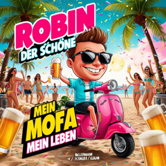 Robin Der schöne