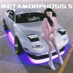 METAMORPHOSIS 5