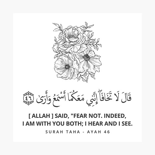 قال لا تخافا انني معكما اسمع وارى| تلاوة لسورة طه بصوت شريف مصطفي الهادئ Recitation of Surah Taha from the quran | He (Allah ) said do not be scard I'm with you both listening and watching