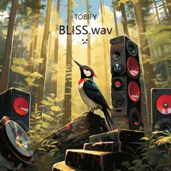 BLISS.wav