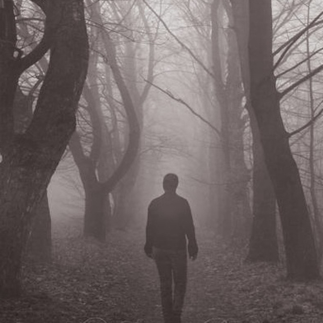 Wilderness Wanderings (Part 2)- The Mist