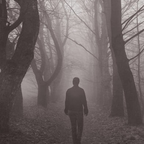 Wilderness Wanderings (Part 2)- The Mist
