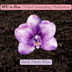 BPD To Bliss Orchid Earth Meets Ether Grounding Meditation