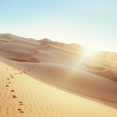 Take A Walk With Me