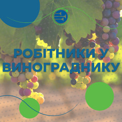 Робітники у винограднику [024] РАНКОВИЙ РИТМ