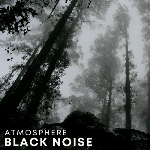 Black Noise Rupture