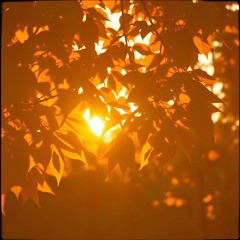 golden hour shadows 2