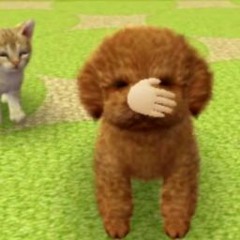 NINTENDOGS ON MY 3DS