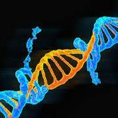 Mutation Station