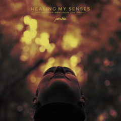 Healing My Senses (Live & Improvised) (Feat. Vybeshift)