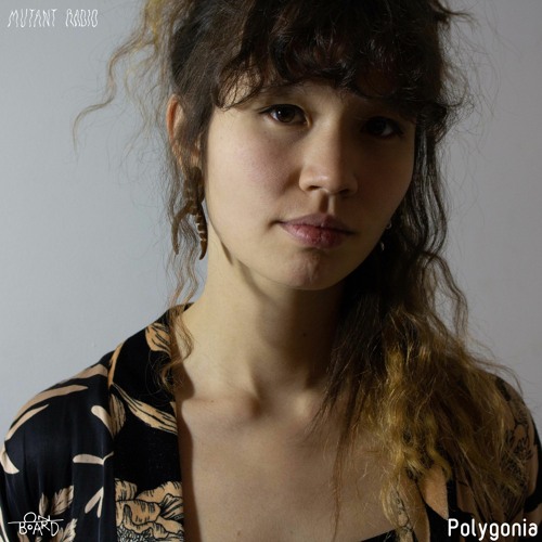 Polygonia [On Board Music Takeover]