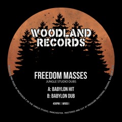 FREEDOM MASSES - Babylon Hit