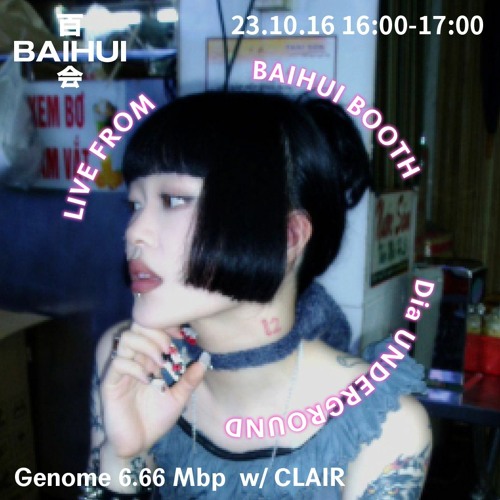Genome 6.66 Mbp w/ Clair on Baihui Radio
