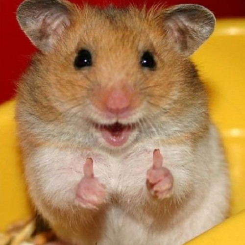 You’re a rockstar!!! X3