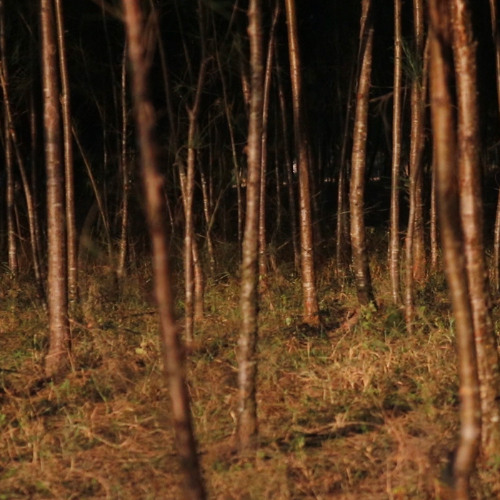 Hërbst w/ The Öbjektz - 301025