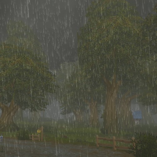 rain