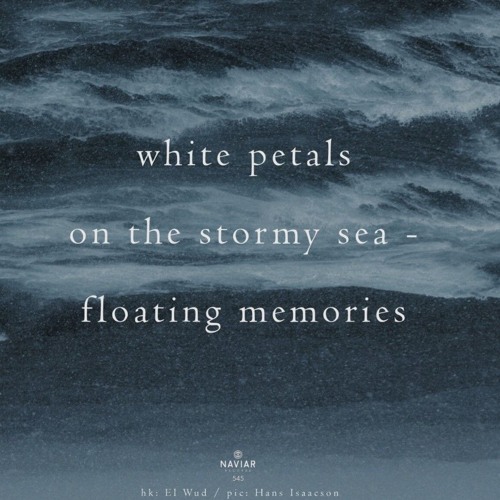 Stormy Sea - Floating [NaviarHaiku545]
