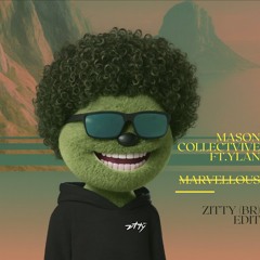 Mason Collective ft. YLAM - Marvellous (zitty (BR) Edit)
