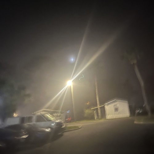 brain fogged