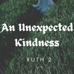 An Unexpected Kindness (Ruth 2)