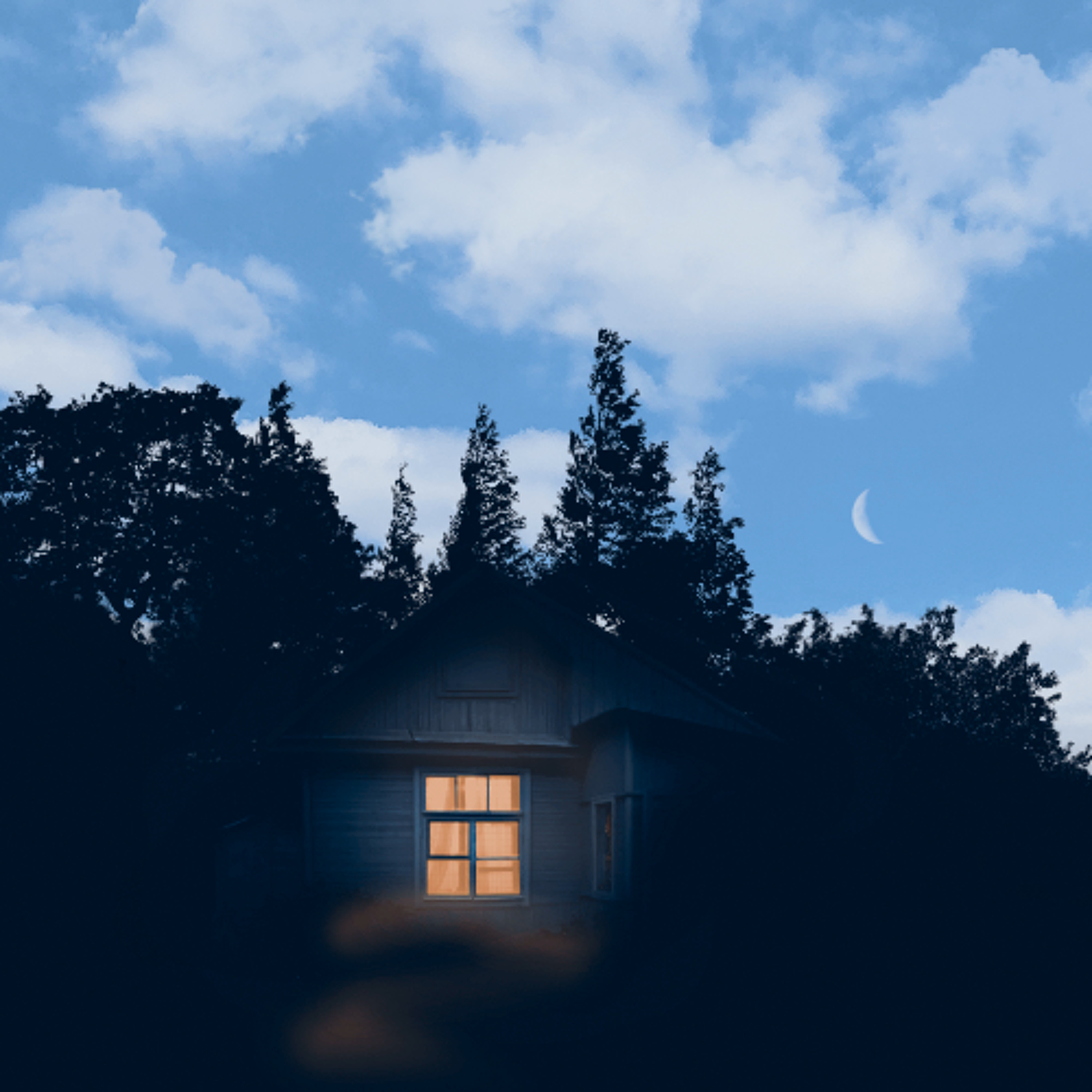 home episode artwork