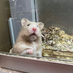 Short Dick Man x Blue Friday Mash Up <3